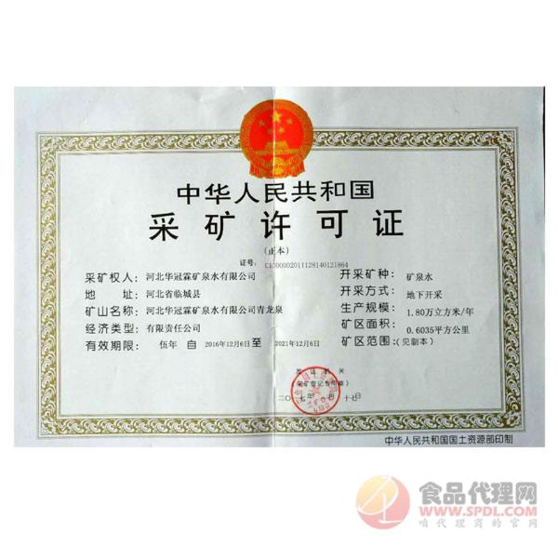 班奇奇食品：一场甜蜜的冒险